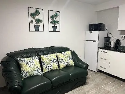 Casinha Da Palmeira