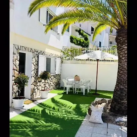 Casinha Da Palmeira