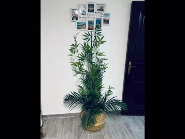 Casa vacanze Casinha Da Palmeira *